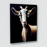 Goat 4 Wall Art