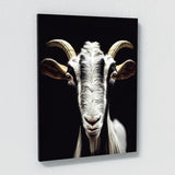 Goat 8 Wall Art
