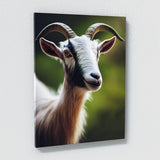 Goat 9 Wall Art
