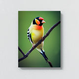 Goldfinch Bird 1 Wall Art