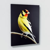 Goldfinch Bird 4 Wall Art