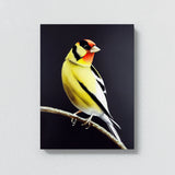 Goldfinch Bird 4 Wall Art