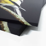 Goldfinch Bird 4 Wall Art