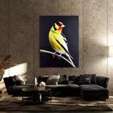 Goldfinch Bird 4 Wall Art