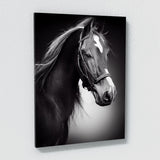 Horse 12 Wall Art