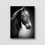 Horse 12 Wall Art