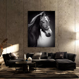 Horse 12 Wall Art