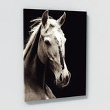 Horse 13 Wall Art