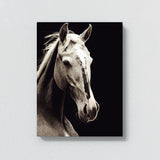 Horse 13 Wall Art