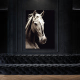 Horse 13 Wall Art