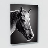 Horse 14 Wall Art