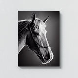 Horse 14 Wall Art