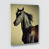 Horse 15 Wall Art