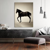 Horse 3 Wall Art