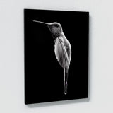 Humming Bird 2 Wall Art