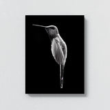 Humming Bird 2 Wall Art