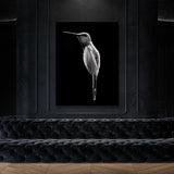 Humming Bird 2 Wall Art