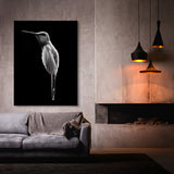 Humming Bird 2 Wall Art
