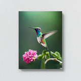 Humming Bird 6 Wall Art