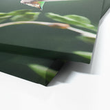 Humming Bird 6 Wall Art