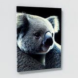 Koala 3 Wall Art