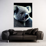 Koala 3 Wall Art