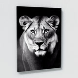 Lioness 1 Wall Art