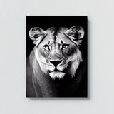 Lioness 1 Wall Art
