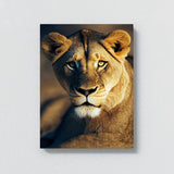 Lioness 10 Wall Art
