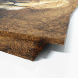 Lioness 10 Wall Art