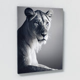 Lioness 11 Wall Art