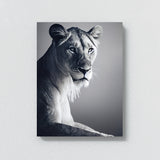 Lioness 11 Wall Art