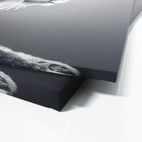 Lioness 11 Wall Art