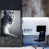 Lioness 11 Wall Art