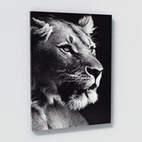 Lioness 14 Wall Art