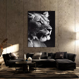 Lioness 14 Wall Art