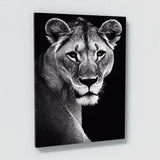 Lioness 17 Wall Art