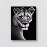 Lioness 17 Wall Art