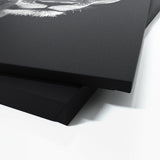 Lioness 17 Wall Art