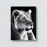 Lioness 2 Wall Art