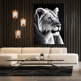 Lioness 2 Wall Art