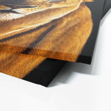 Lioness 4 Wall Art