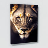 Lioness 8 Wall Art