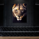 Lioness 8 Wall Art