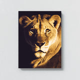 Lioness 9 Wall Art