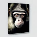 Monkey 1 Wall Art