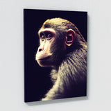 Monkey 12 Wall Art