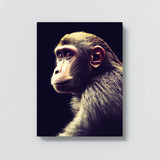 Monkey 12 Wall Art