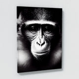 Monkey 2 Wall Art