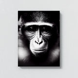Monkey 2 Wall Art
